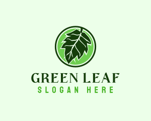 Eco Herbal Leaf logo design