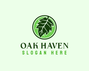 Oak - Eco Friendly Oak Leaf logo design