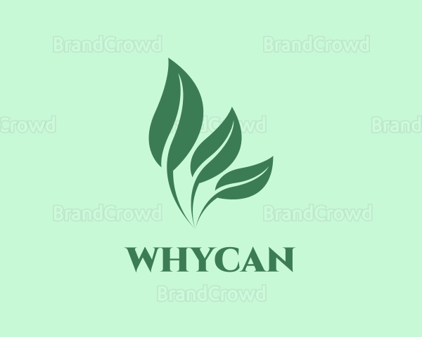 Herbal Plant Horticulture Logo
