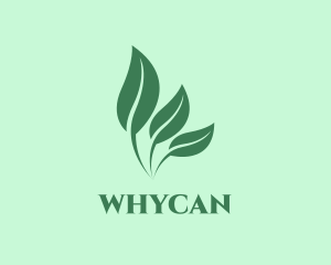 Herbal Plant Horticulture Logo