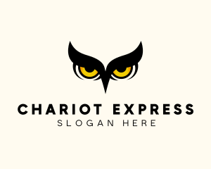 Night Owl Bird logo design