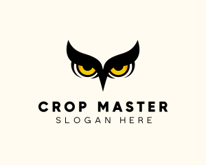 Night Owl Bird logo design