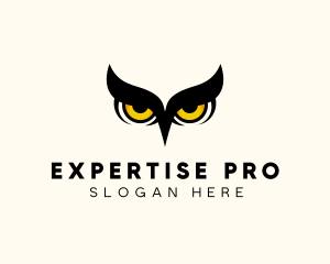 Night Owl Bird logo design