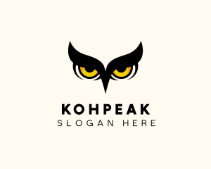 Night Owl Bird logo design