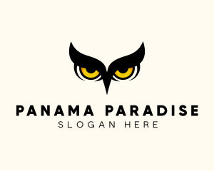 Night Owl Bird logo design