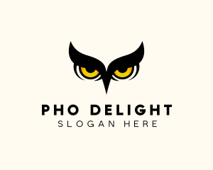 Night Owl Bird logo design