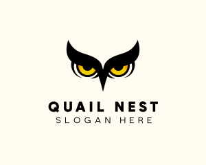 Night Owl Bird logo design