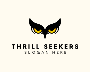 Night Owl Bird logo design