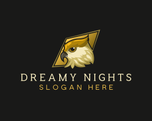 Night Owl Bird logo design