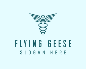 Medical Healthcare Caduceus logo design