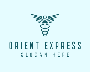 Medical Healthcare Caduceus logo design