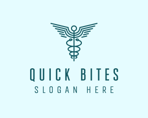 Medical Healthcare Caduceus logo design