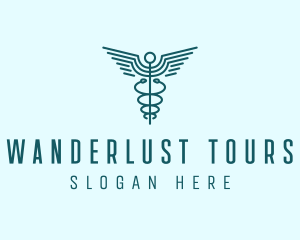 Medical Healthcare Caduceus logo design