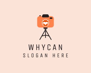 Vlogging - Fox Animal Photography logo design