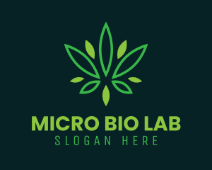 Cannabis Plant Oil logo design