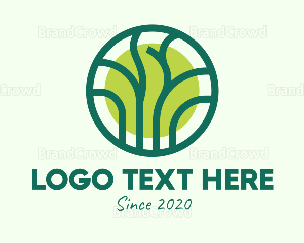 Green Eco Forest Logo