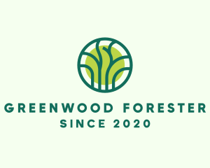 Green Eco Forest logo design