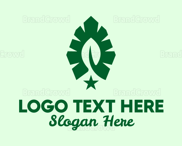 Green Leaf Star Logo