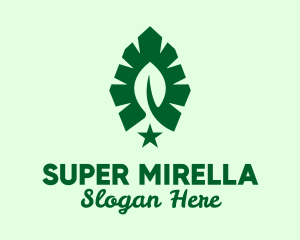 Eco Friendly - Green Leaf Star logo design