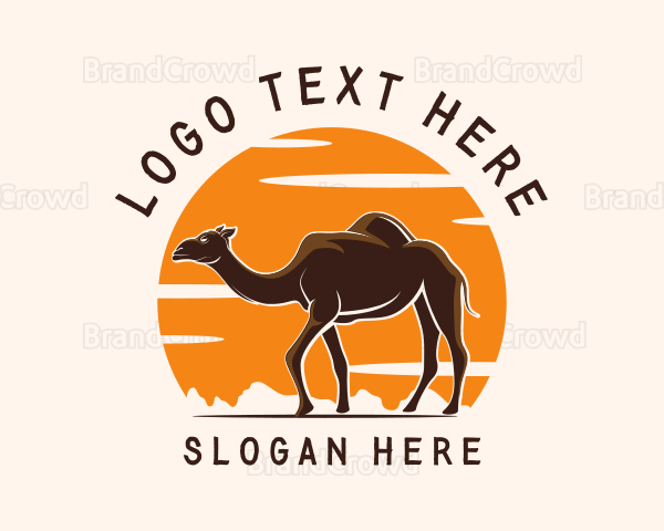 Sunset Desert Camel Logo