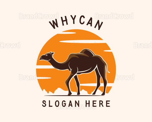 Sunset Desert Camel Logo