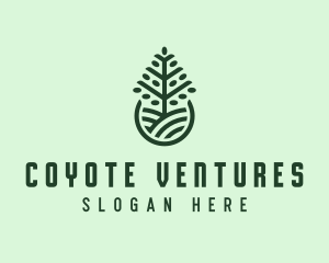 Seedling Tree Plant logo design