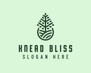 Seedling Tree Plant logo design