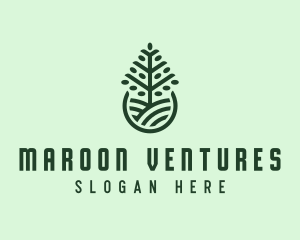 Seedling Tree Plant logo design