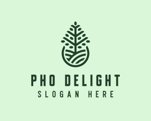 Seedling Tree Plant logo design