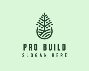 Seedling Tree Plant logo design