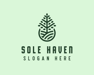 Seedling Tree Plant logo design