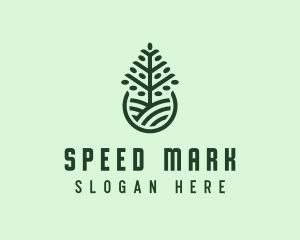 Seedling Tree Plant logo design