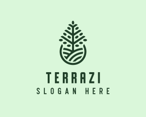 Seedling Tree Plant logo design