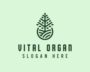 Seedling Tree Plant logo design