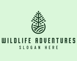 Seedling Tree Plant logo design