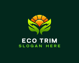 Eco Solar Energy logo design