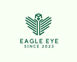 Eagle Head Wings logo design