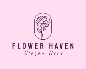 Blossoming - Natural Flower Daisy logo design