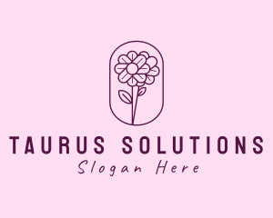 Natural Flower Daisy logo design