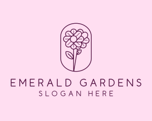 Natural Flower Daisy logo design