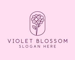 Natural Flower Daisy logo design