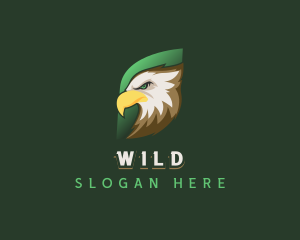 Bird - Eagle Predator Bird logo design