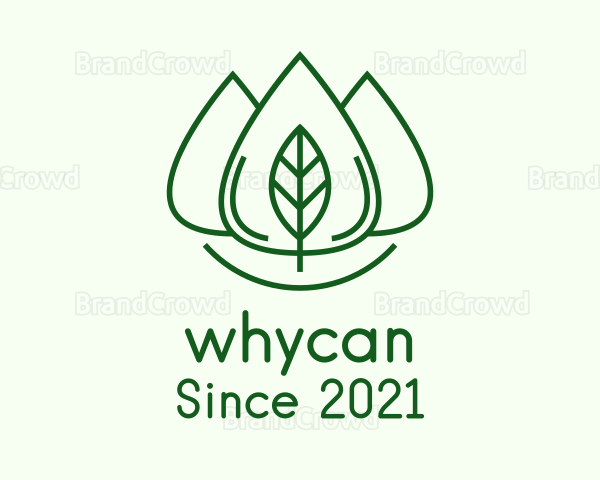 Essential Oil Leaf Logo