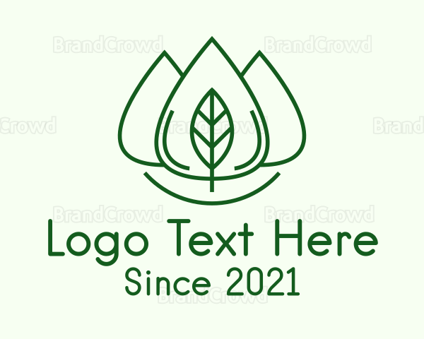 Essential Oil Leaf Logo