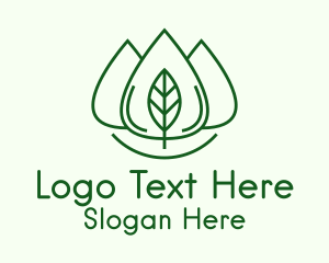 Essential Oil Leaf Logo