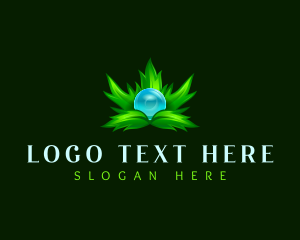 Dew - Nature Leaves Dew logo design