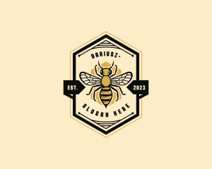 Apiarist - Bee Hexagon Beehive logo design