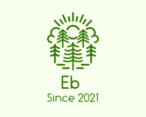 Pine Tree - Sunrise Eco Forest logo design