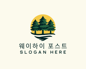 Pine Tree Forest logo design