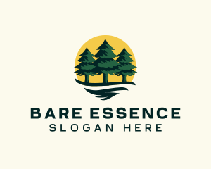 Pine Tree Forest logo design